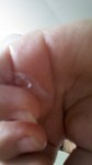 w600 150628 hand IMG_20150628_1229483.jpg