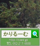 20170814\xE3\x82\xB5\xE3\x83\xAB.jpg