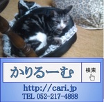 cari neko IMG_20161130_1931153.jpg