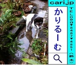 neko-120121-0904.jpg