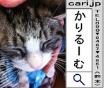 neko-120224-1557.jpg