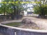 1905121207DSCF0007w500.jpg