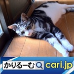 28_cat200707.jpg